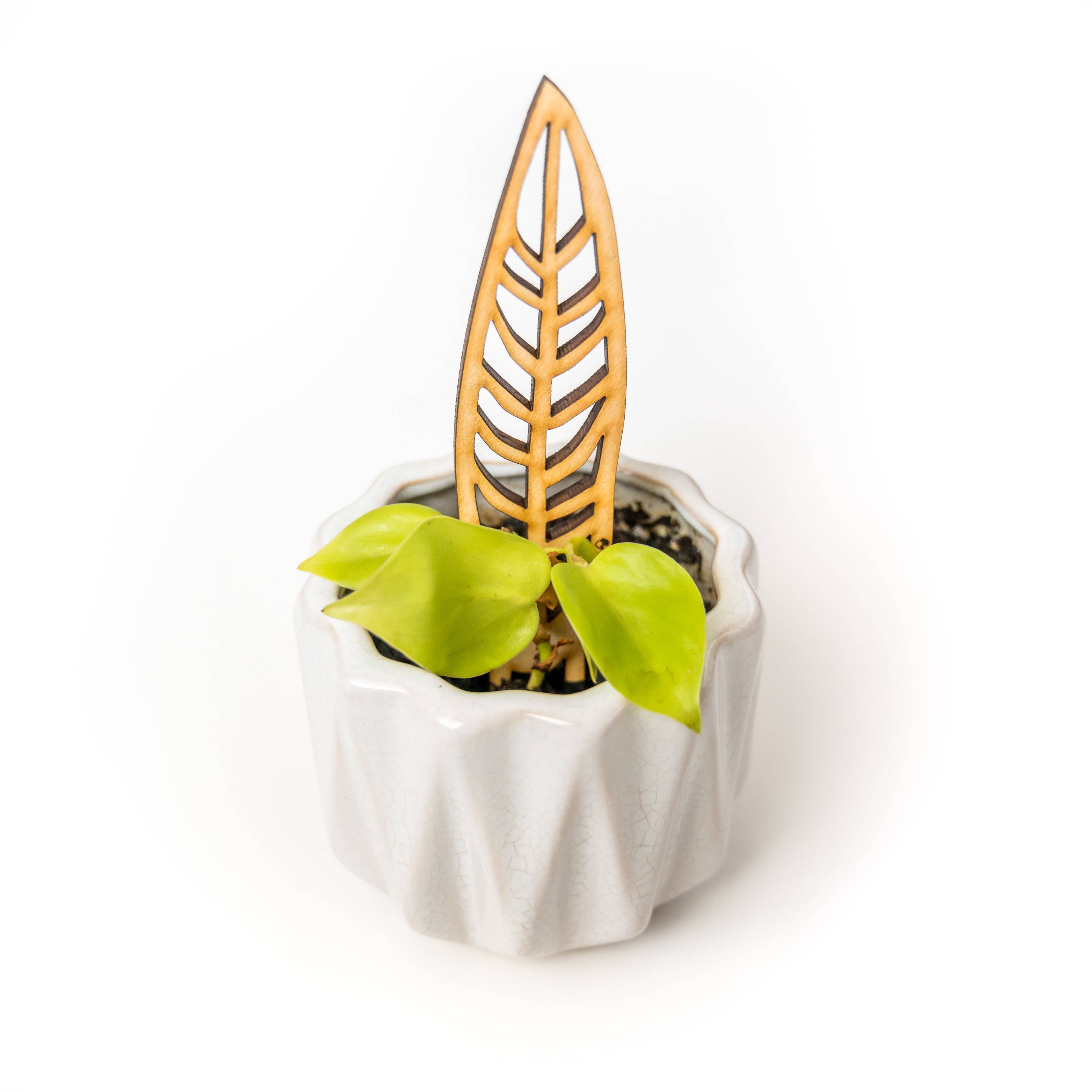 Treleaf – wholesale Garden/lawn stake – BARE Mini Trellises - Decorative wooden plant stakes9