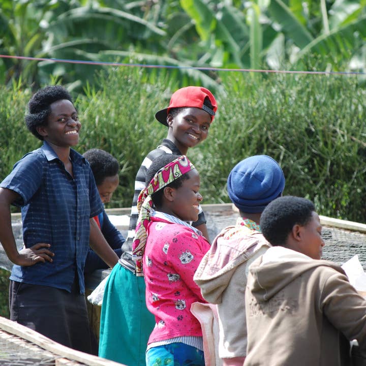 Favor Coffee Company - Wholesale Coffee Beans - Rwanda - Northern Province: Dukorere Kawa Bukure2