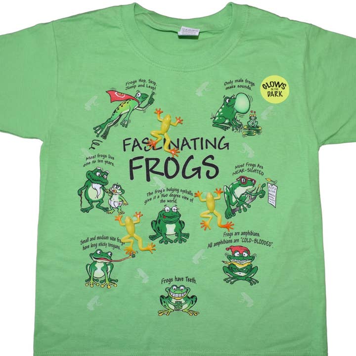 Fascinating Frogs for wholesale by Wildthings