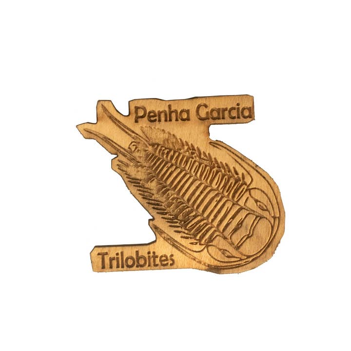 Geocakes - Venta al por mayor Imanes - Trilobites de Penha Garcia con imán