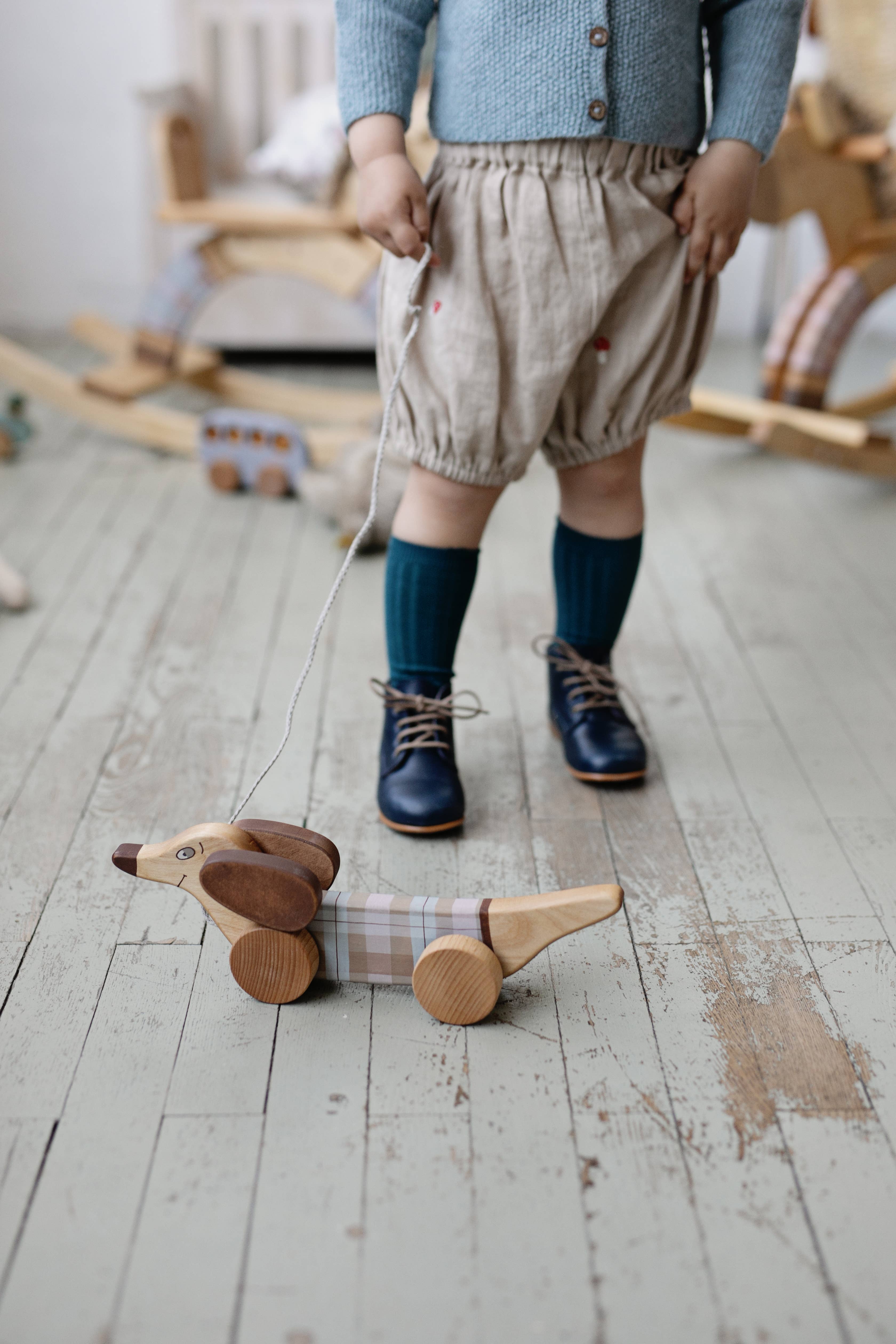 Friendly Toys - Wholesale Wood Toy - Kids - Handcrafted Birch Wood Pastel Sausage Dog Pull Toy2