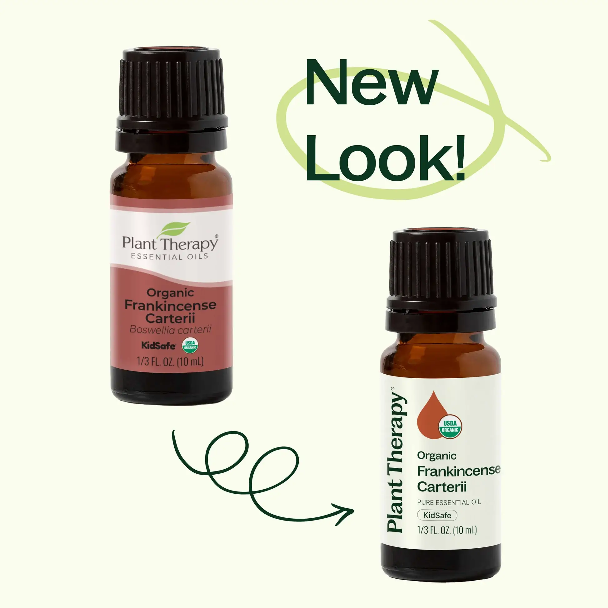 Plant Therapy - Wholesale Essential Oil - Organic Frankincense Carterii Essential Oil 10 mL5
