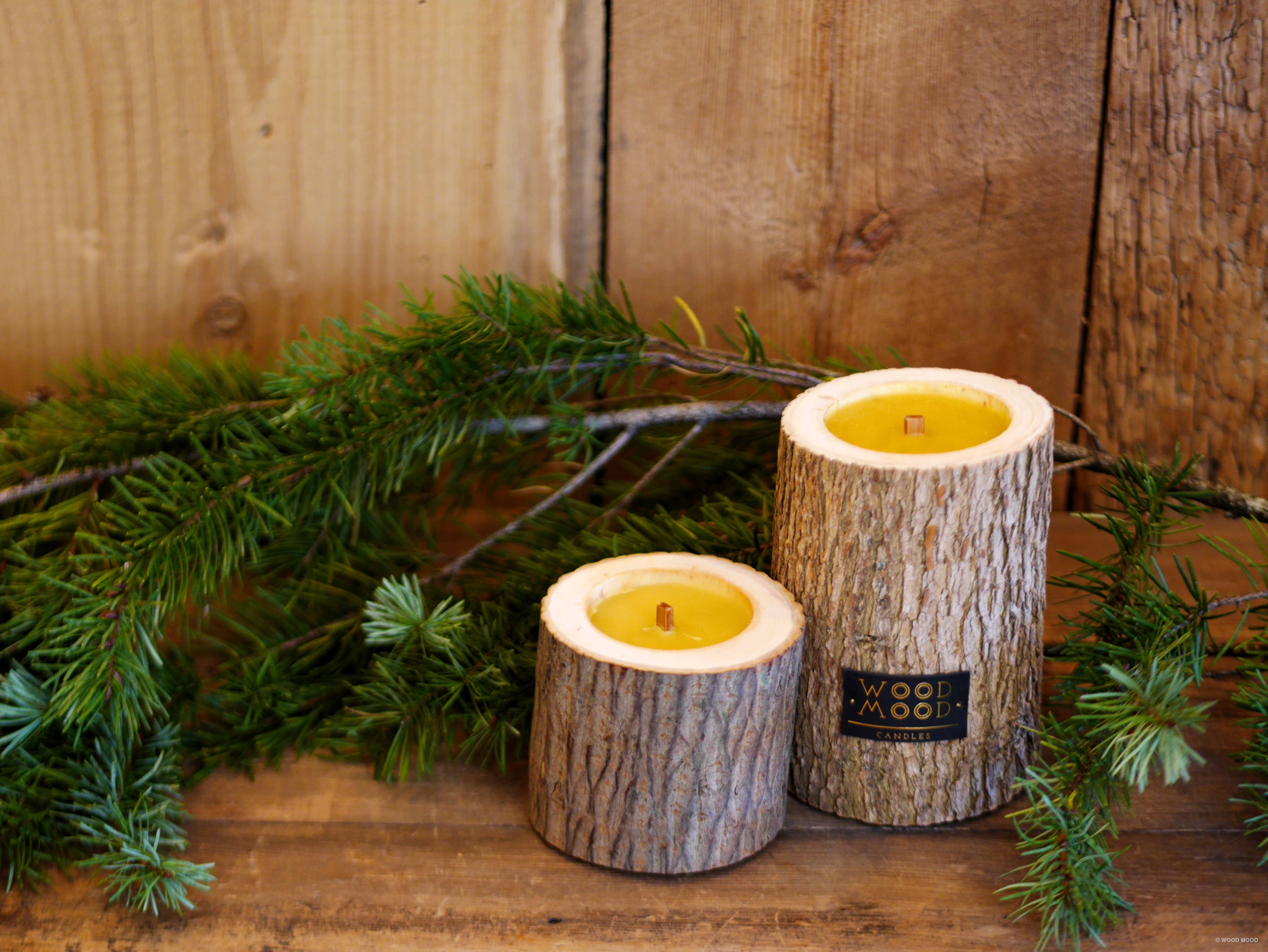 WOOD MOOD - Vendita all'ingrosso Candela in vasetto - Rocky Original | candela riutilizzabile con olio essenziale di pino8