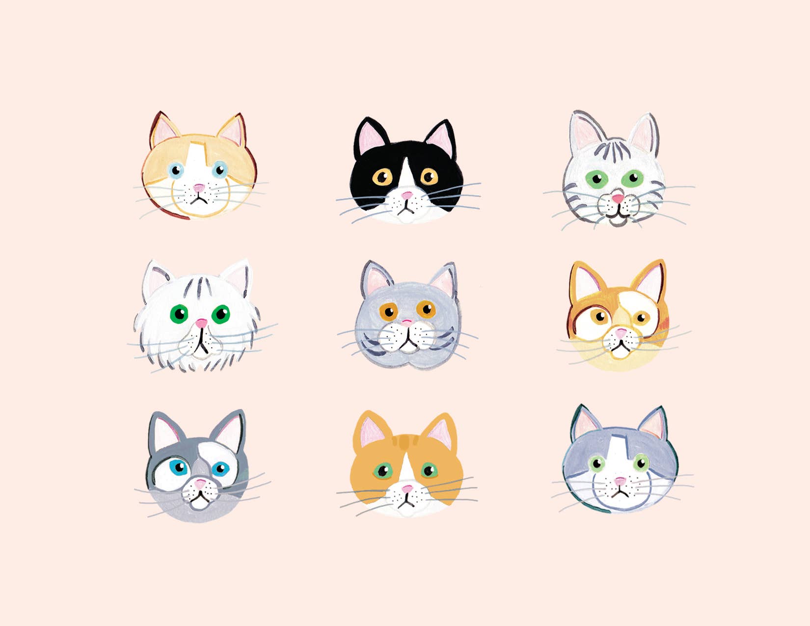 Paige & Willow - Wholesale Everyday Greeting Card - Illustrated Cats Card from Animal Collection1