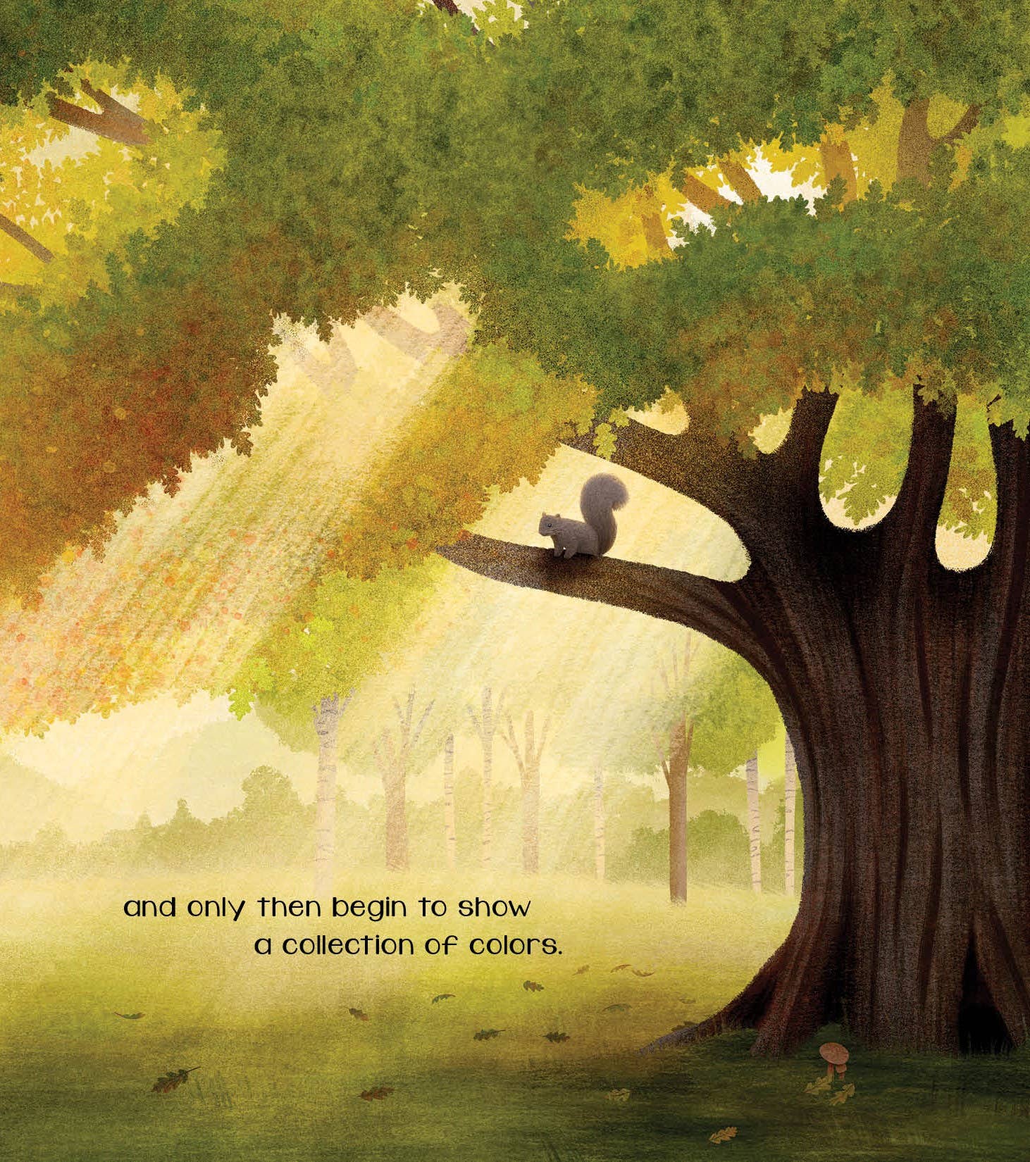 Sleeping Bear Press - Wholesale Book - Kids - The Secret of Fall Picture Book5