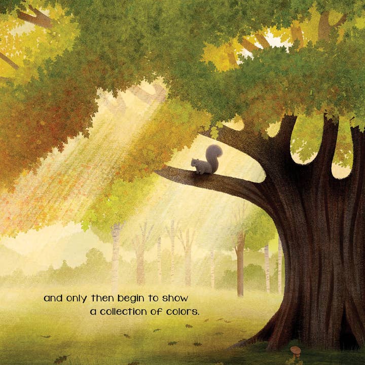 Sleeping Bear Press - Wholesale Book - Kids - The Secret of Fall Picture Book5
