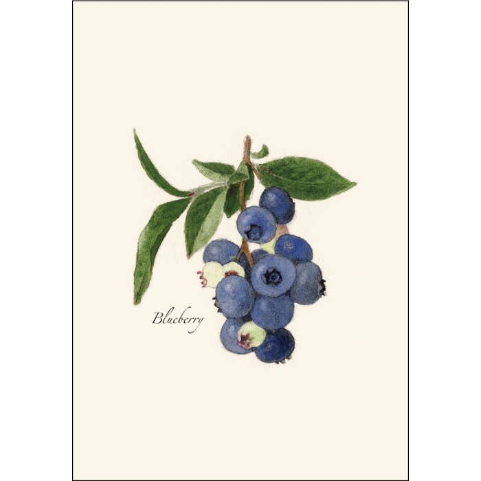 Earth Sky + Water - Wholesale Stationery/Notecard Set - Blueberry Recycled Paper Notecard Set1