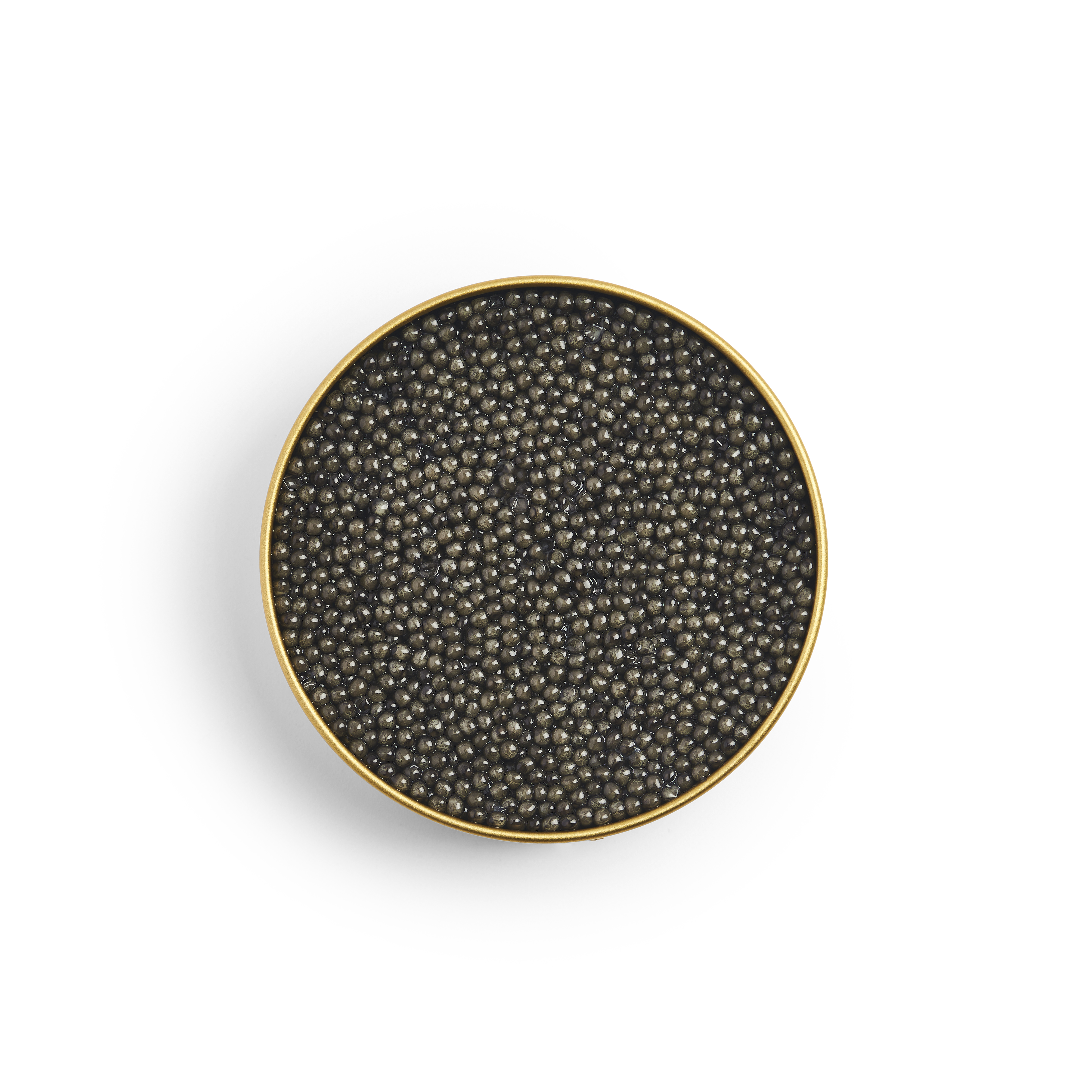 Tsar Caviar - Wholesale Fish/Seafood - Beluga Fusion Caviar1