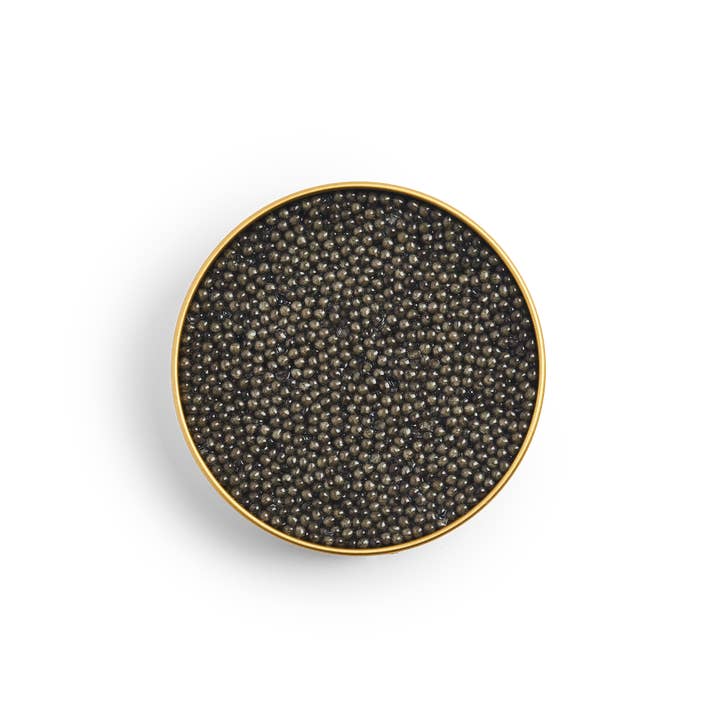 Tsar Caviar - Wholesale Fish/Seafood - Beluga Fusion Caviar1