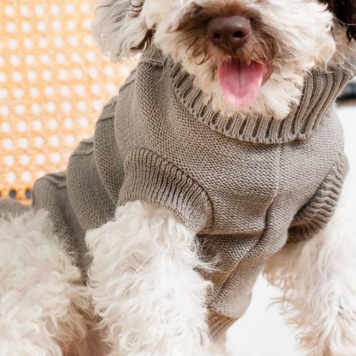 Jersey Lily for wholesale by Nuk Pets