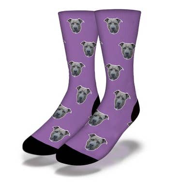 PUPPY DOG EYES Cute Dog Socks für den Großhandel von Savvy Sox