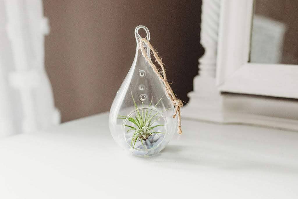 The Simply Crafty Shop - Wholesale Terrarium - Pear Shape Terrarium Kit- Semi-Precious Stone32