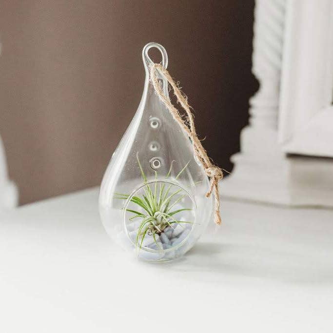 The Simply Crafty Shop - Wholesale Terrarium - Pear Shape Terrarium Kit- Semi-Precious Stone32