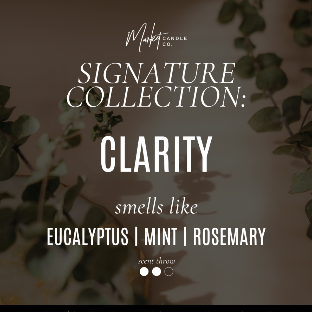 Market Candle Company - Wholesale Hand & Body Lotion - CLARITY HAND & BODY LOTION1