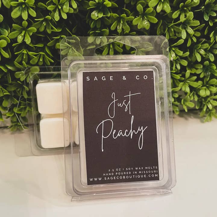 Sage & Co. - Wholesale Wax Melt - Christmas/Winter Scent Wax Melt Clamshells1