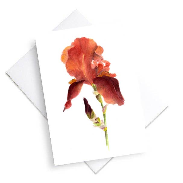 Copper Iris for wholesale by Two Bees Design Studio