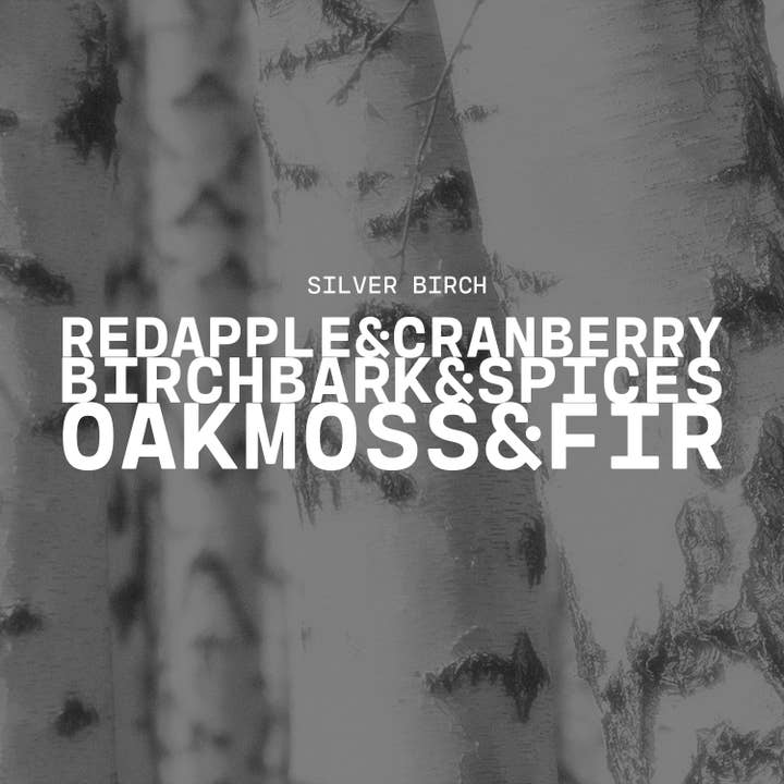 Milkhouse Candle Company - Wholesale Jar/Filled Candle - 16 oz Butter Jar Candle: Silver Birch3