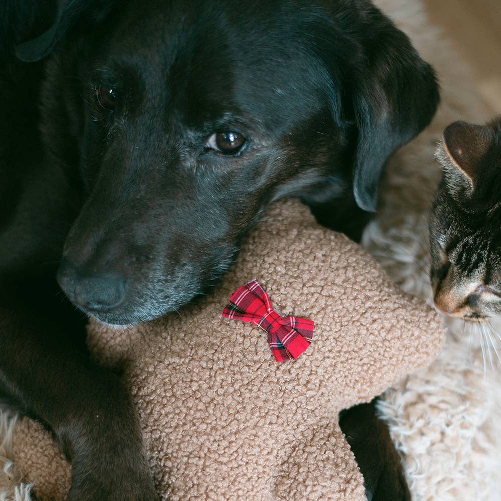 MODERNBEAST - Vendita all'ingrosso Peluche - Cani - Orso marrone alla lavanda3