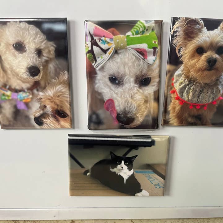 Aries Handcrafted Designs - Wholesale Magnet - Add your photos ~ Rectangle 2"x3" ~10 Custon Photo Magnets
