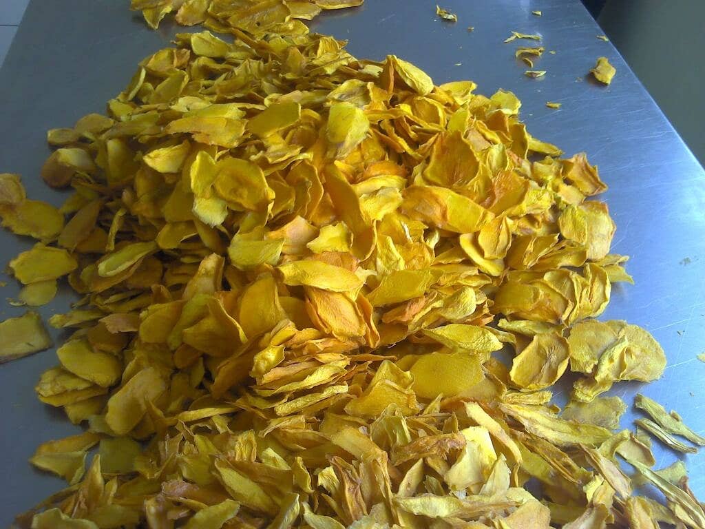 Next Organics – wholesale Dried/dehydrated fruit – Organic Dried Mango 16 oz1