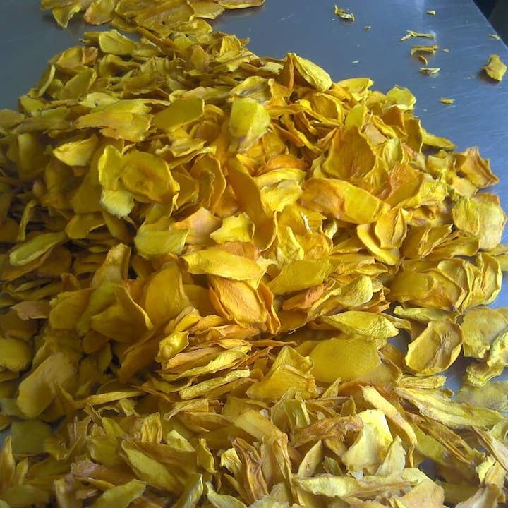 Next Organics - Venta al por mayor Fruta deshidratada - Mango seco orgánico 16 oz1