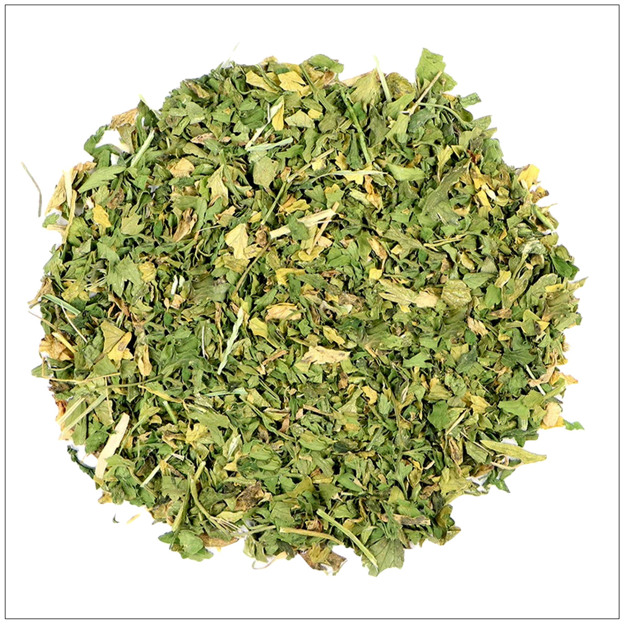 Alive Herbals - Wholesale Herbs - Parsley Leaf0