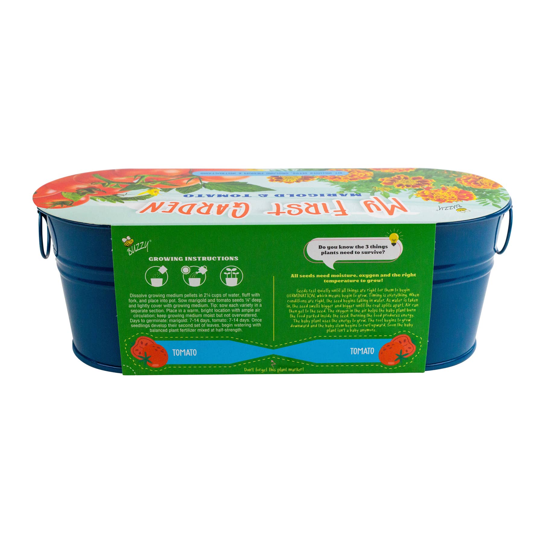 Buzzy Seeds Grow Gifts - Wholesale Plant Seeds - My First Garden Windowsill Grow Kit – Marigold & Tomato6