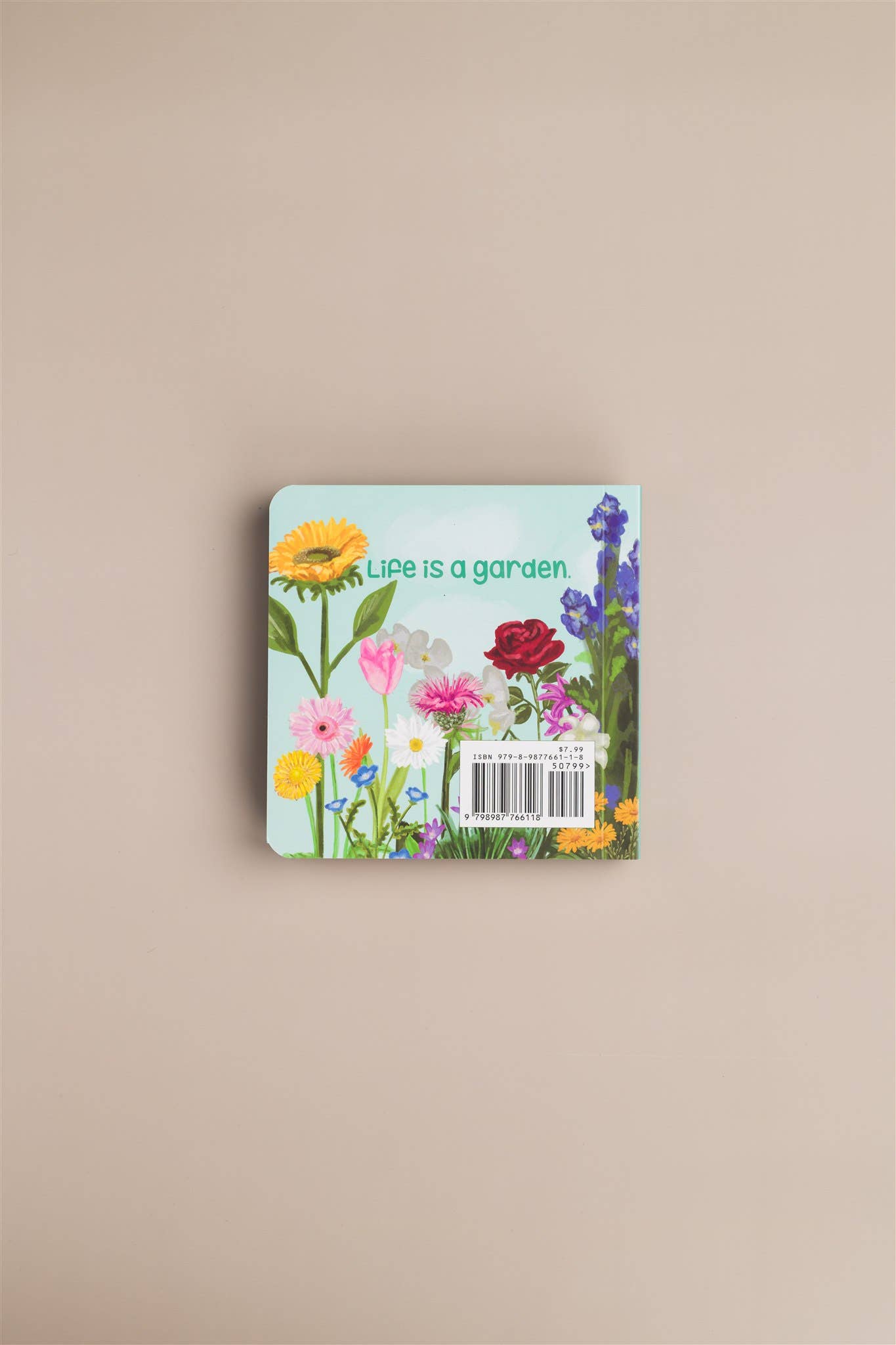 Rebecca Jimenez - Wholesale Preschool Book (3-5) - A Bee Sees the ABC's Hardback Children's book11