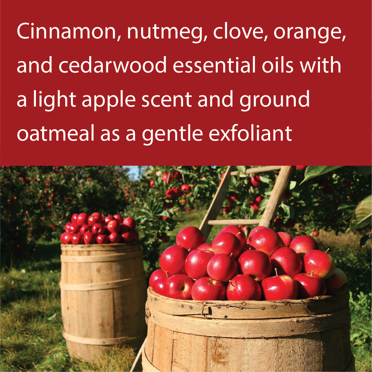 Joy Lane Farm - Wholesale Bar Soap - Handcrafted Artisan Natural Local Applejack Goat Milk Soap1