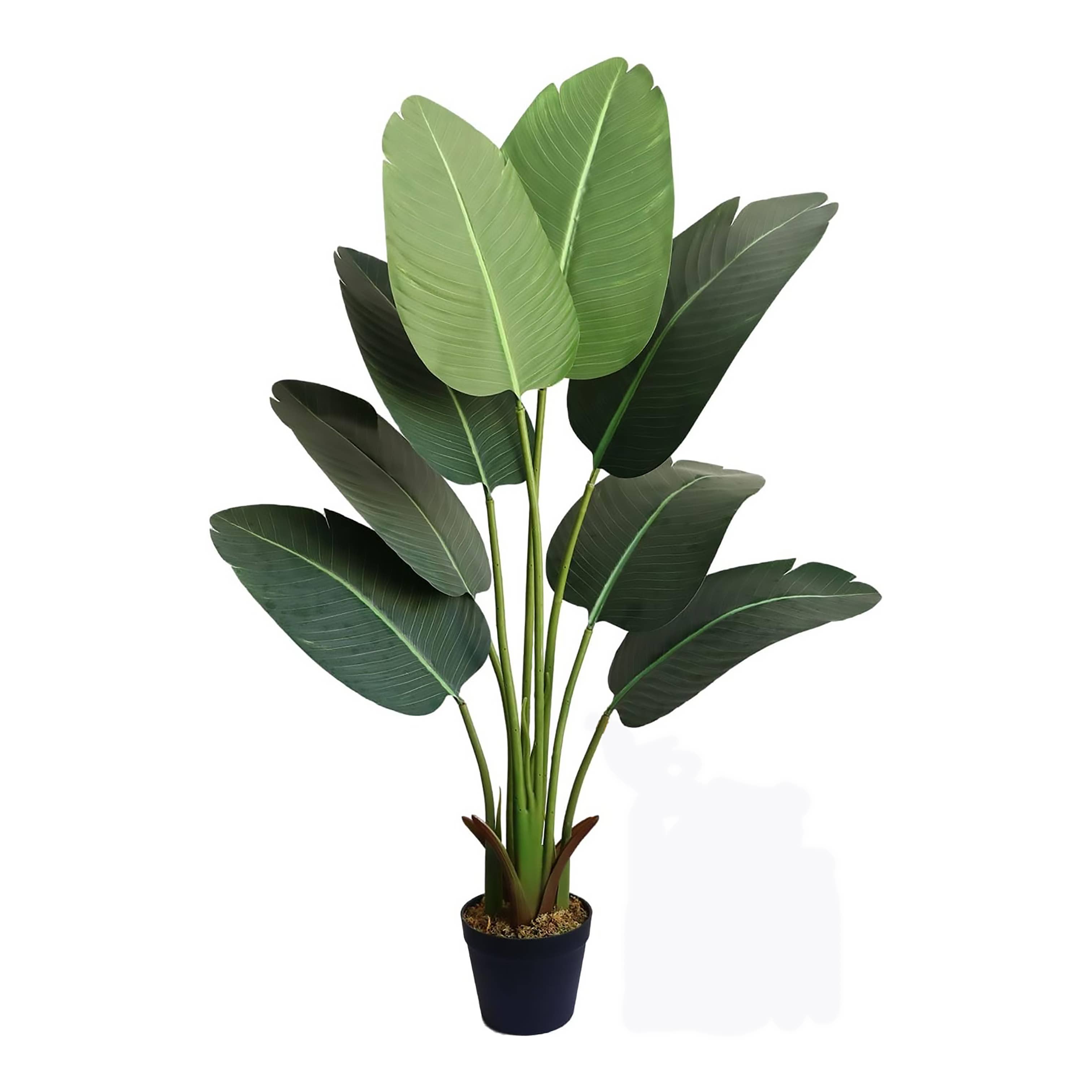 Michael & Philipp Noll e. K. - Wholesale Artificial Plant - banana plant, artificial plant, artificial plant2