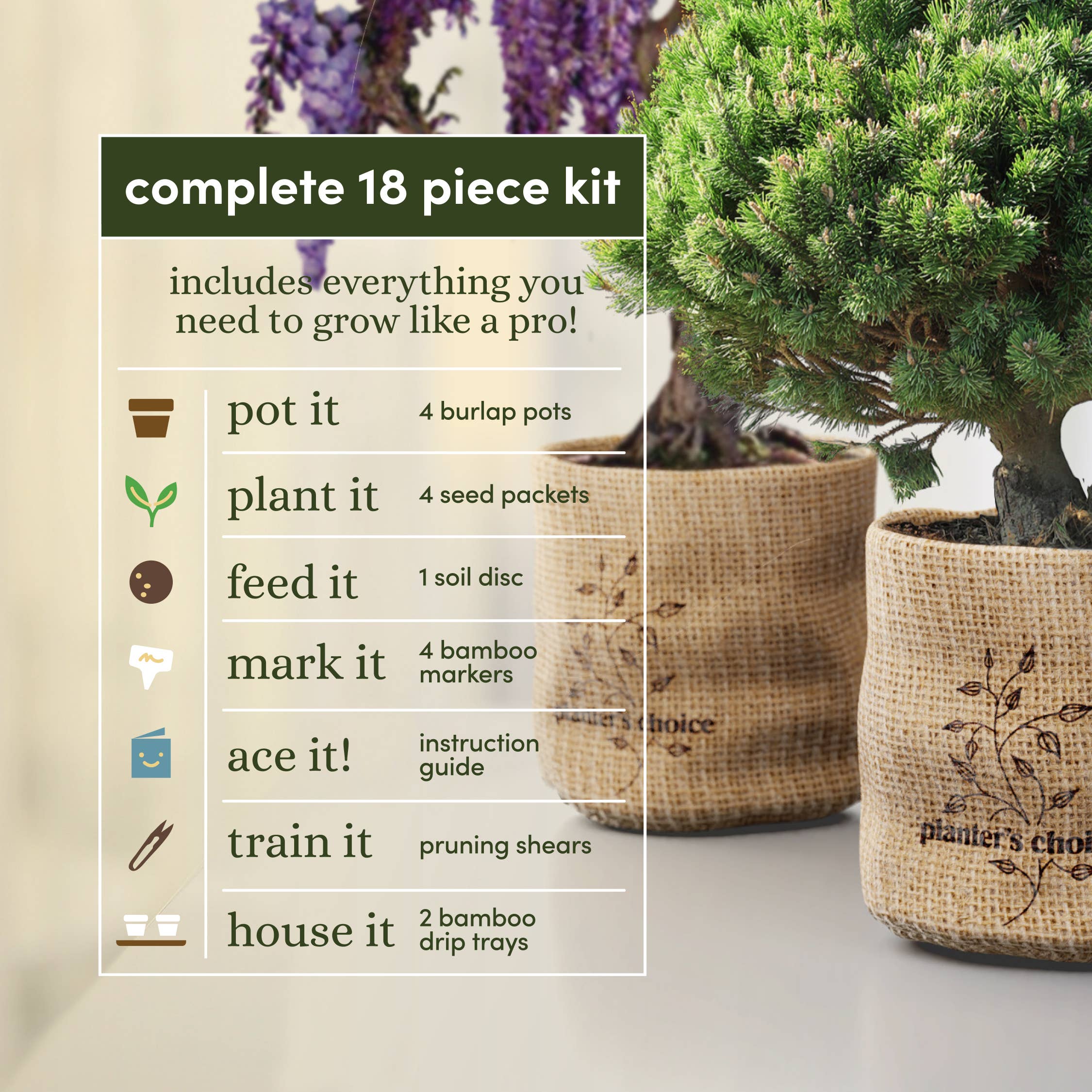 Planter's Choice - Wholesale DIY Craft Kit - Bonsai Growing Kit8