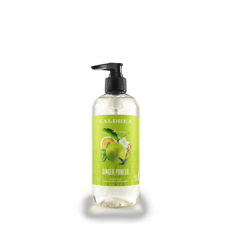 Wholesale Ginger Pomelo Hand Soap with Aloe Vera Olive Oil for