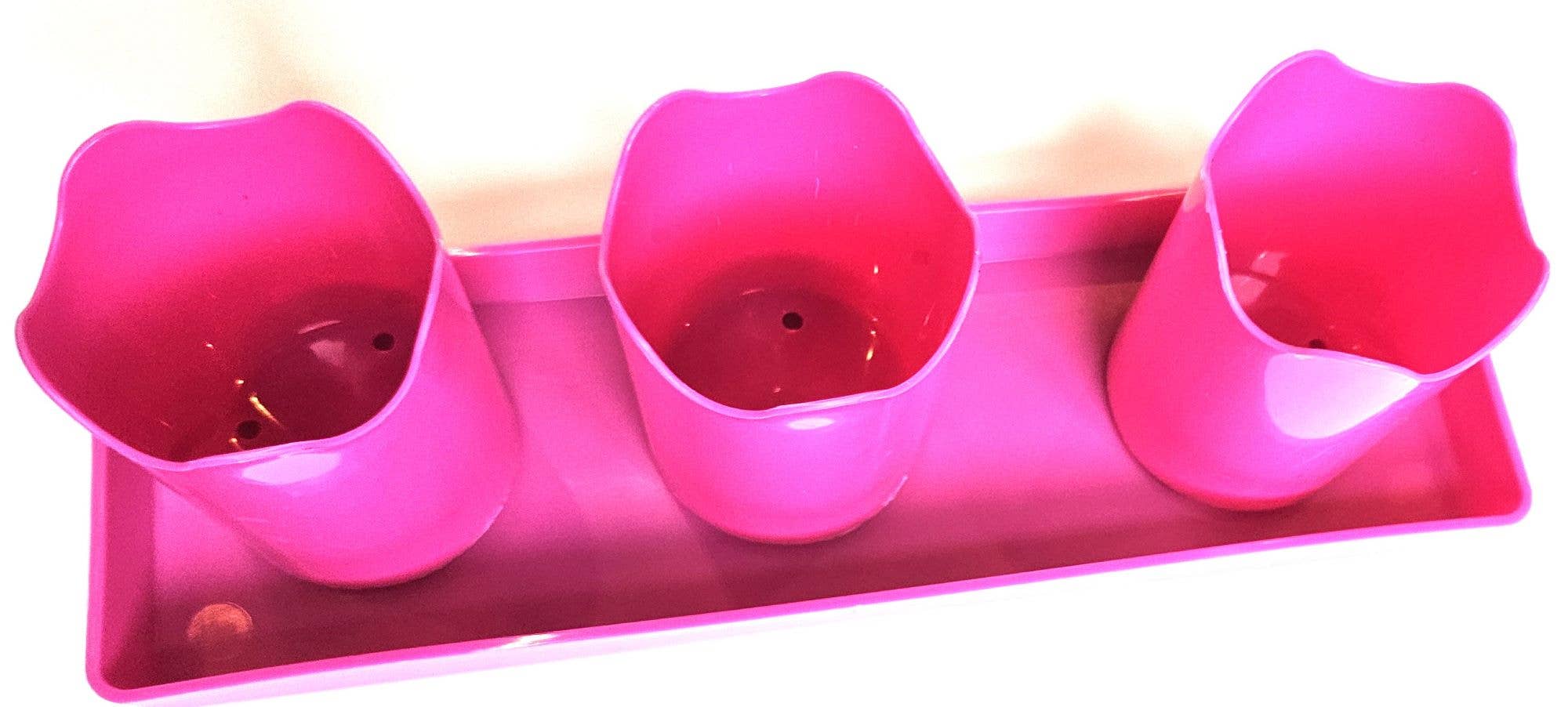 Austin Planter - Wholesale Plant Pot - Wavy 2-inch APW Flower 3-Pots with 1-Rectangle Saucer8