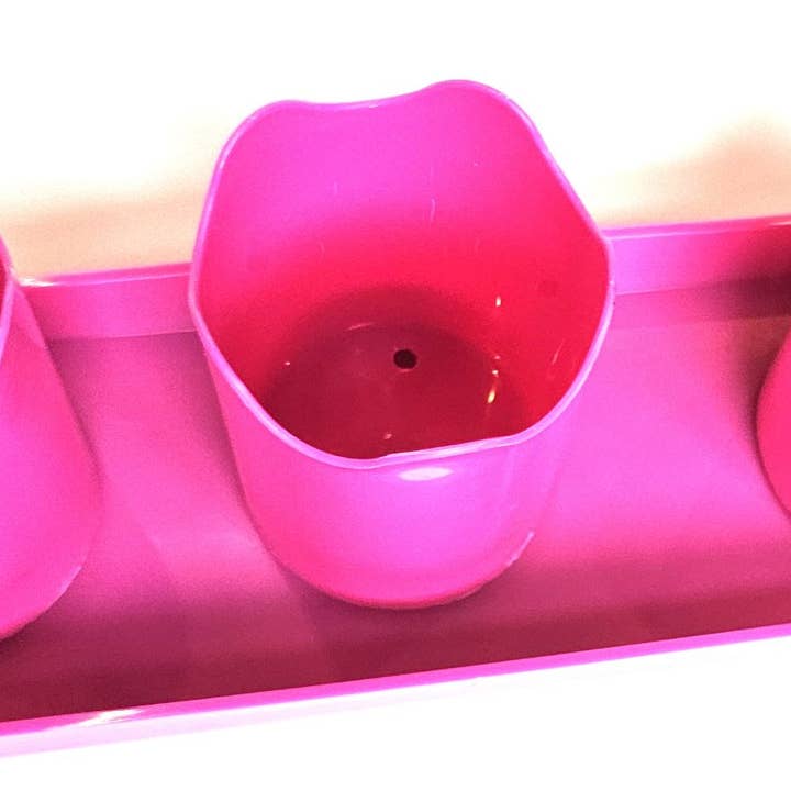 Austin Planter - Wholesale Plant Pot - Wavy 2-inch APW Flower 3-Pots with 1-Rectangle Saucer8