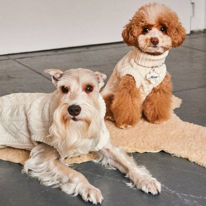 Nooee Pet X Demy Lee Wool Off White Cable Sweater for wholesale by Nooee pet