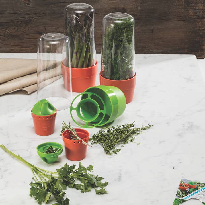 Herb Saver Counter Display - Green Base for wholesale by Gourmac