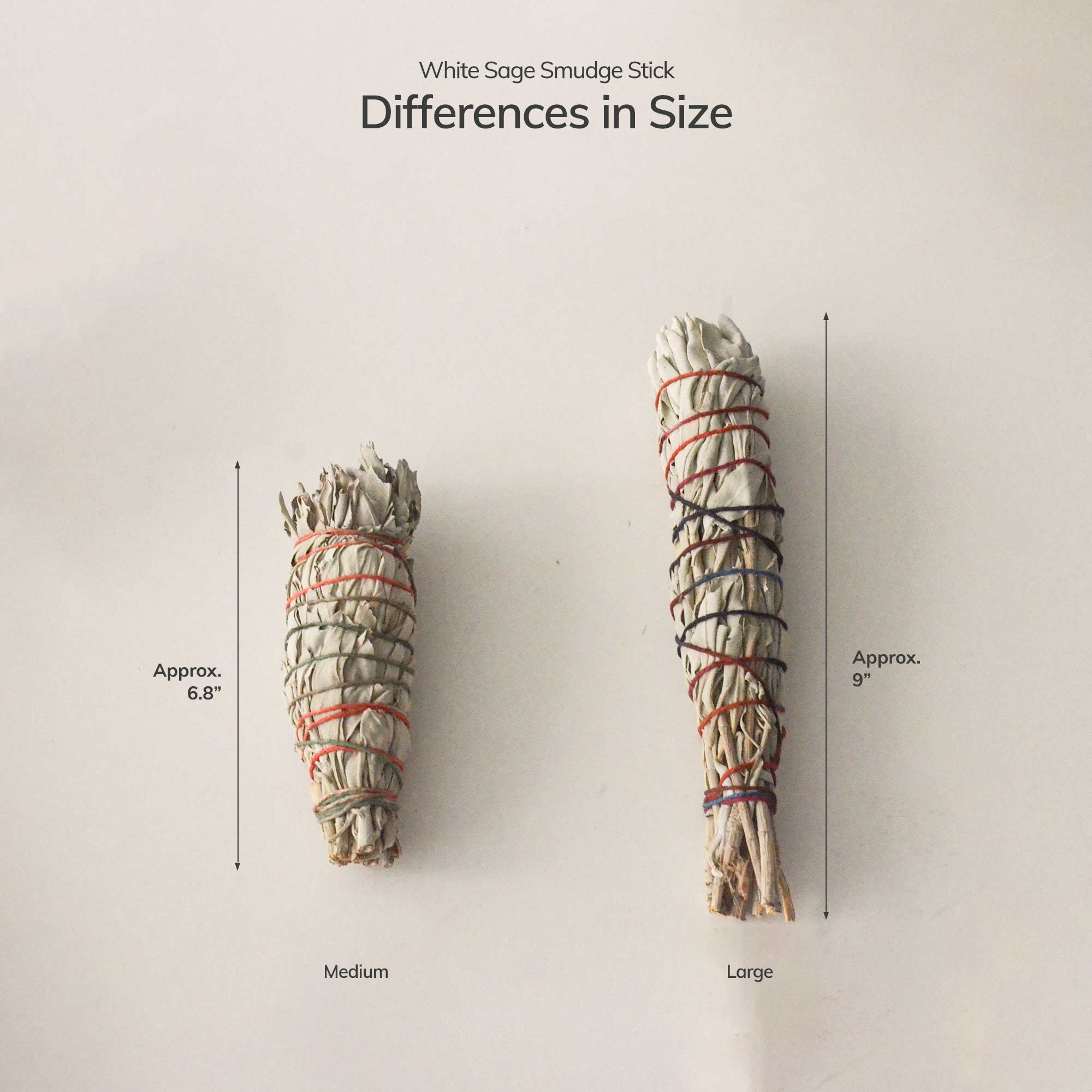 Cedar and Myrrh – wholesale Sage bundle – Medium Organic White Sage Smudging Stick3