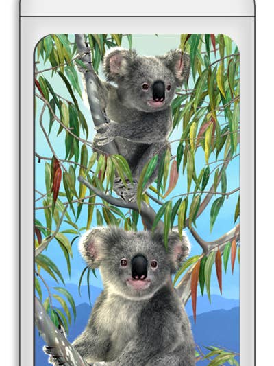3D Royce Magnet - Koalas for wholesale by Artgame Ltd.