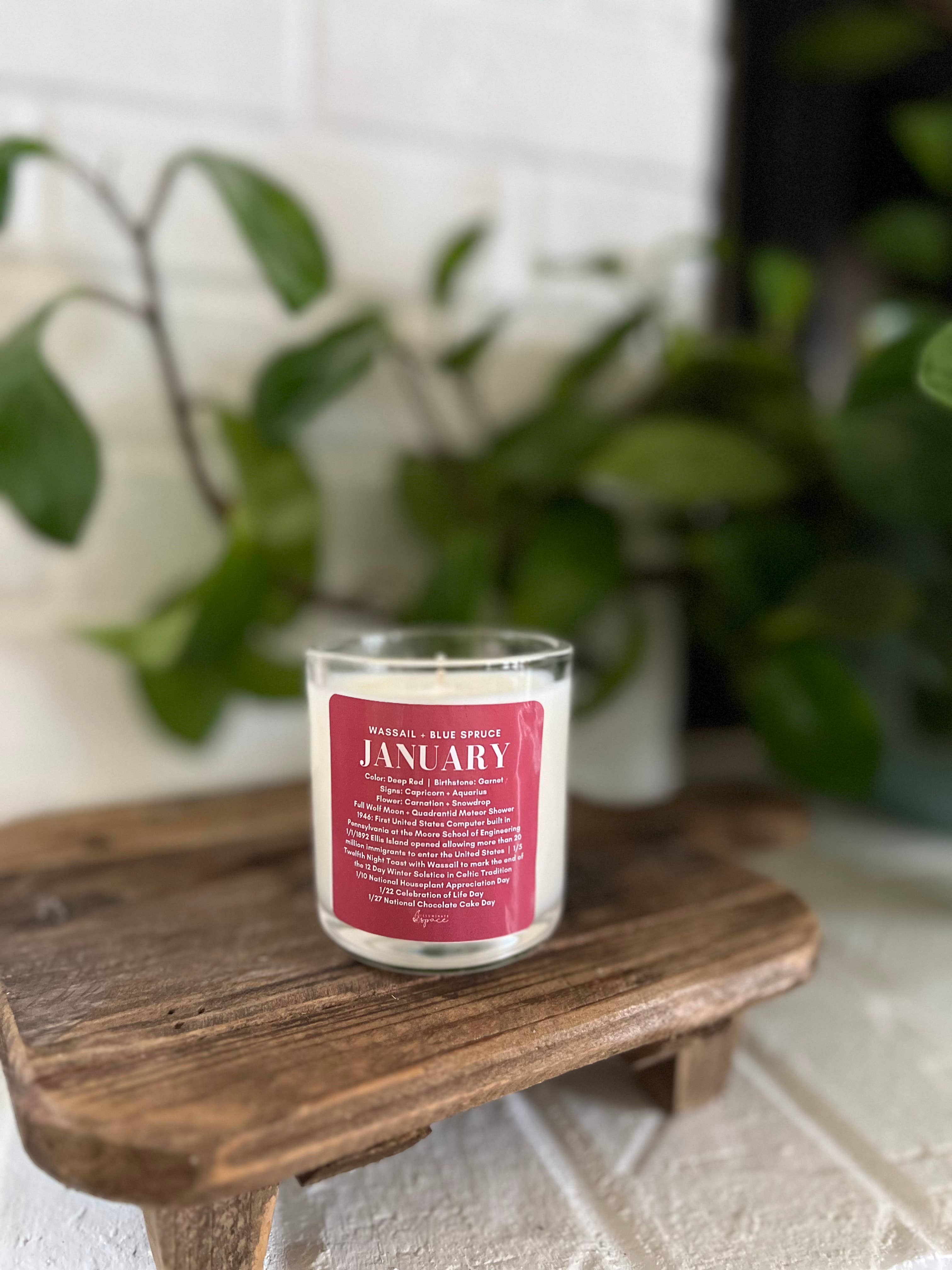 Illuminate Space - Wholesale Jar/Filled Candle - January Birthday Month Candle1