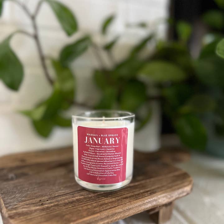 Illuminate Space - Wholesale Jar/Filled Candle - January Birthday Month Candle1