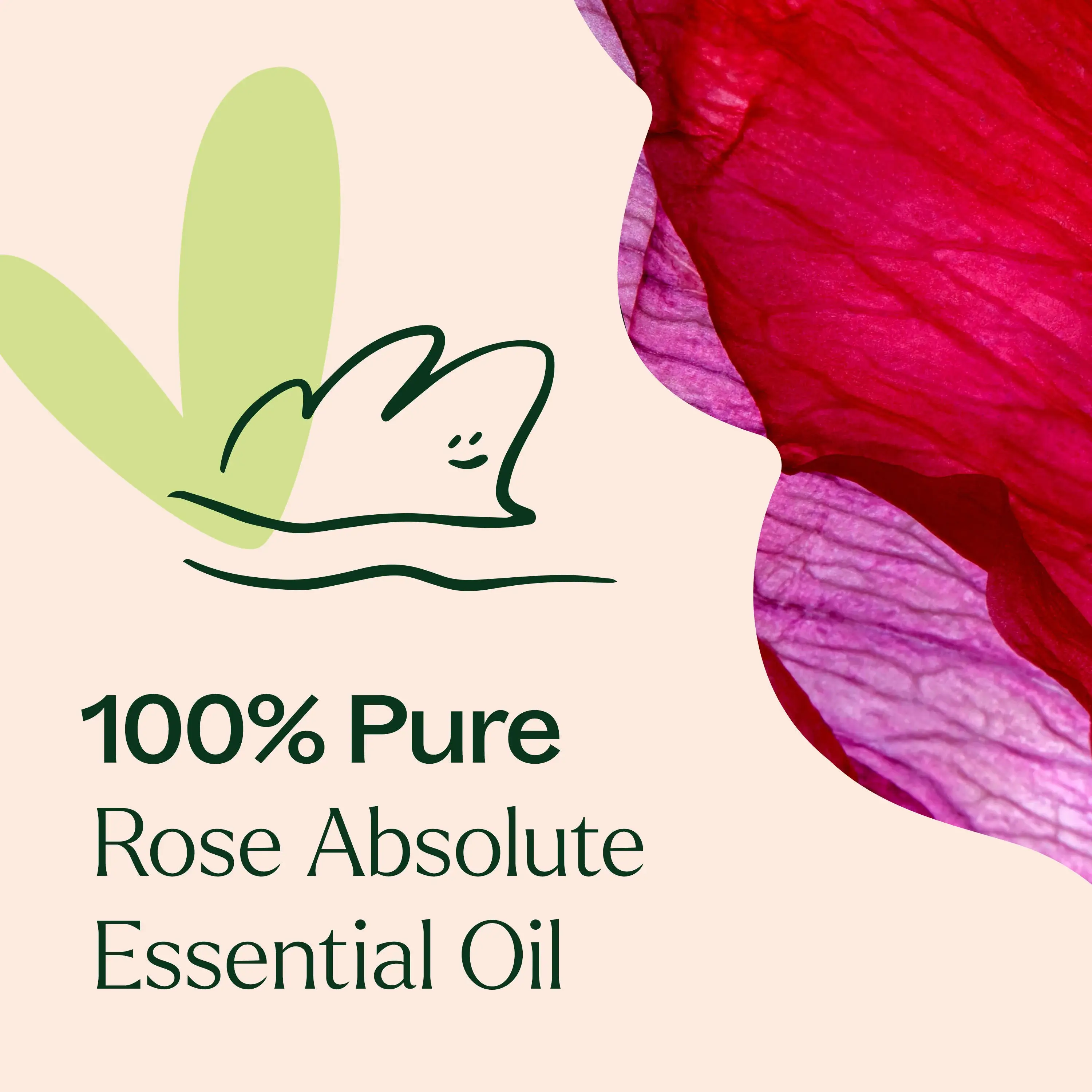 Plant Therapy – wholesale Eterisk olja – Rose Absolute eterisk olja 10 ml1