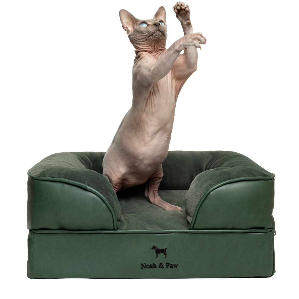 NOAH AND PAW LLC – Großhandel Haustierbett – Katze/Hund – Orthopädisches Hundebett im Sofastil aus Kunstleder mit Memory-Schaum und kühlendem Gel0