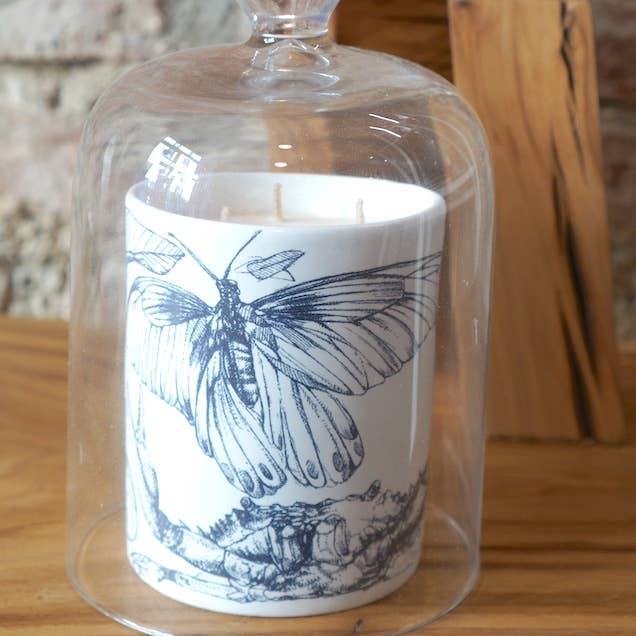 FESTINA LENTE MILANO - Wholesale Candle Holder - CAREZZE 3-Wick 400gr (14oz) Niche Candle in Ceramic Vase