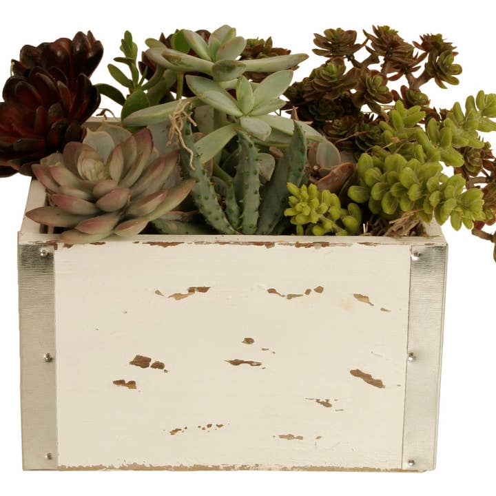 WALD IMPORTS - Wholesale Storage Bin - Set of 3 White Wood Crates