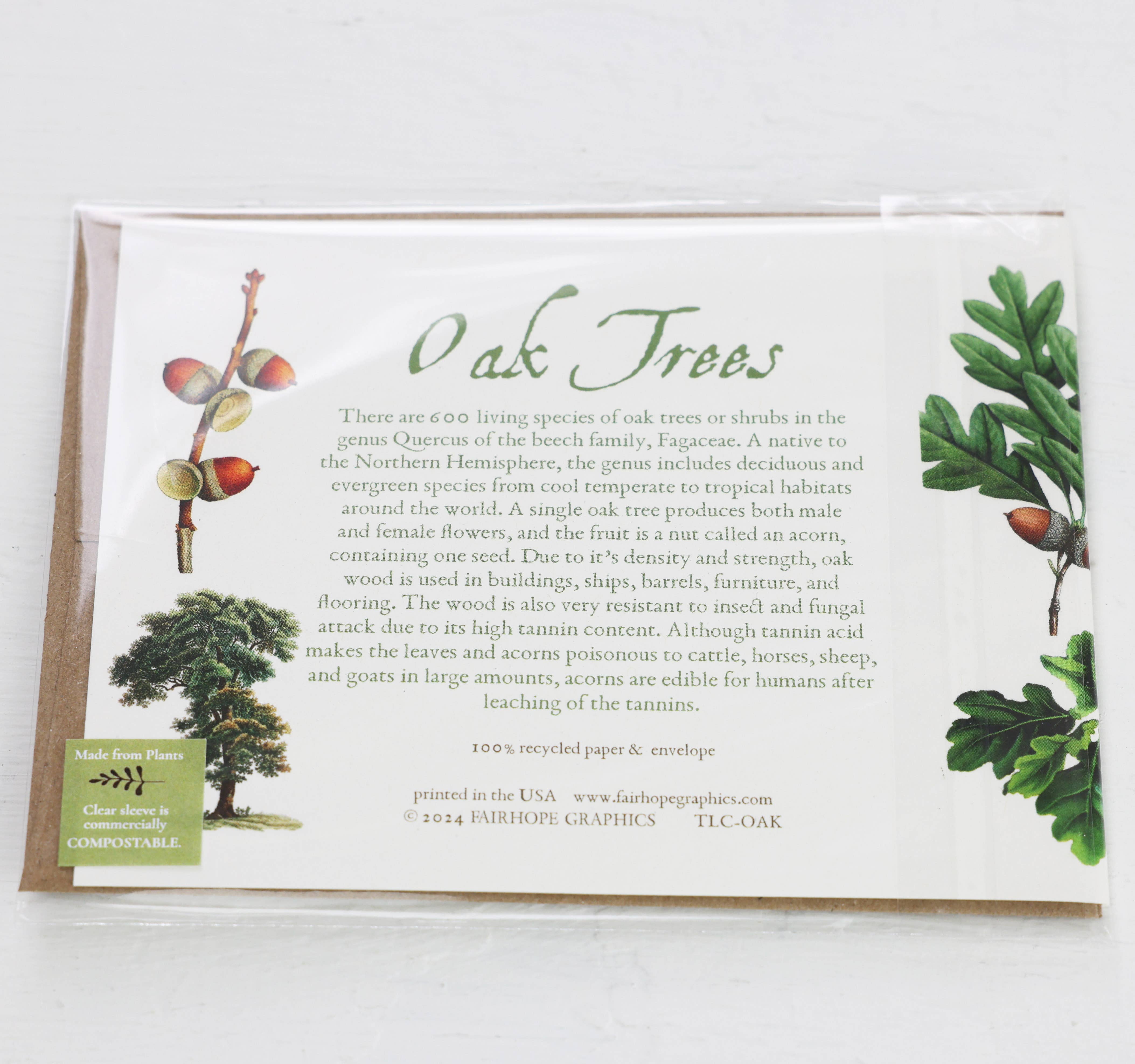 Fairhope Graphics – Engroshandel Hverdagshilsen kort – Oak Tree kort2