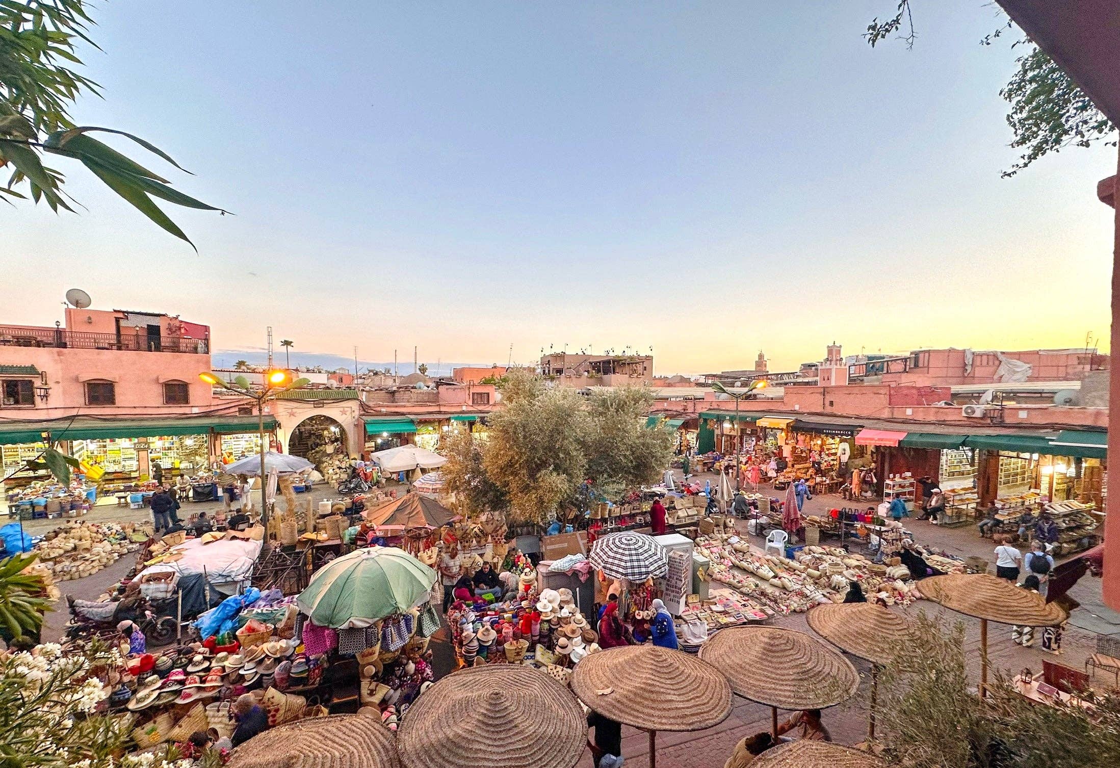 SOUK in the CITY - Wholesale Area Rug - DOURIA Boujad Rugs | circa 250 x 150 cm20