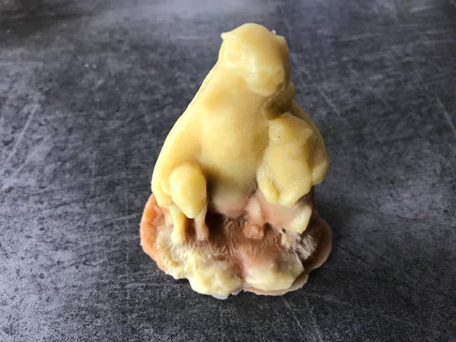 Ecolo’bulles - Wholesale Bar Soap - animals8