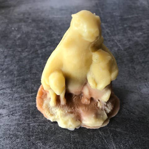 Ecolo’bulles - Wholesale Bar Soap - animals8