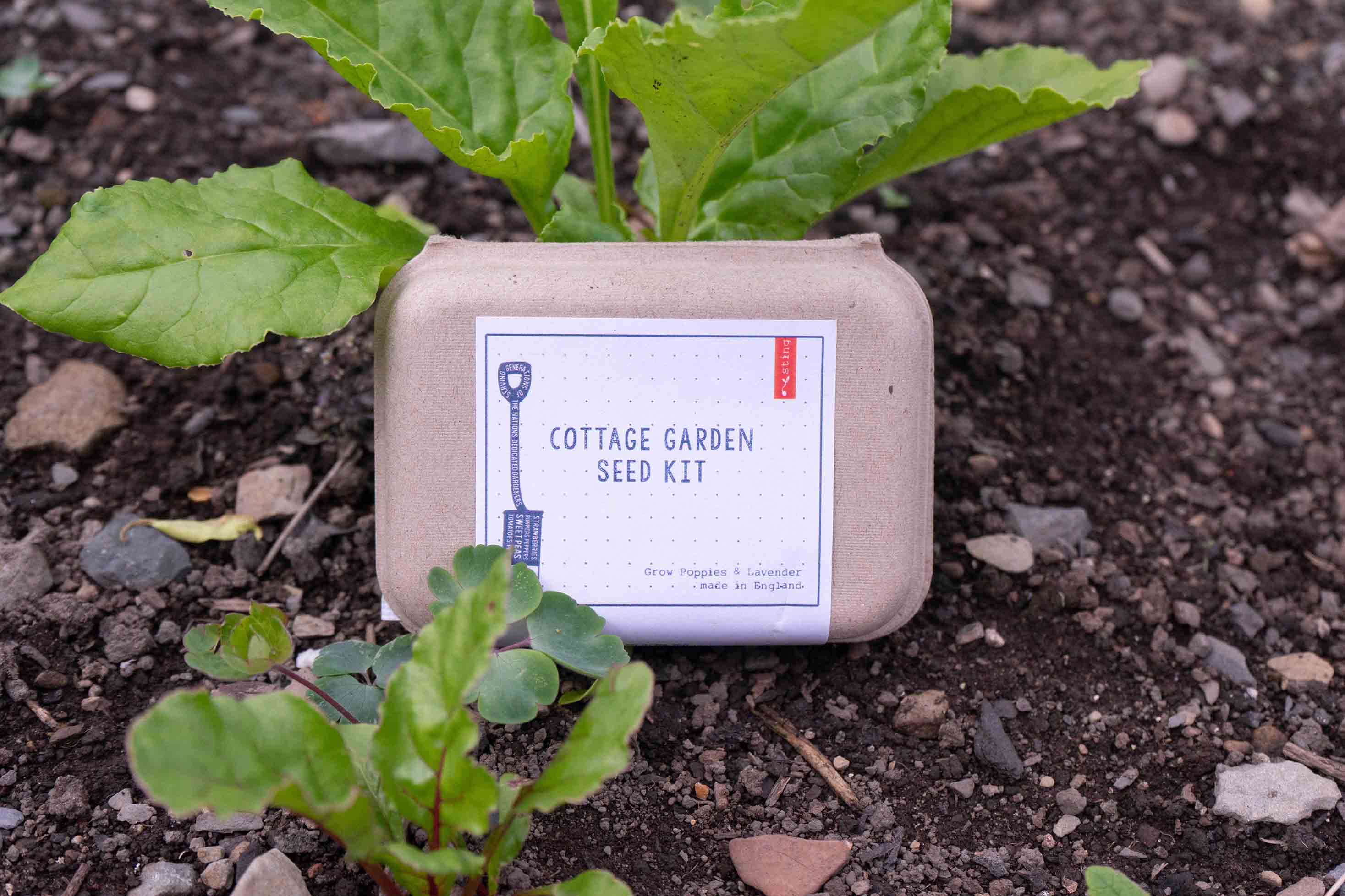 Sting in the Tail Ltd – wholesale Plant seeds – Cottage Garden Seed Kit | Grow | Attract | Gardening0