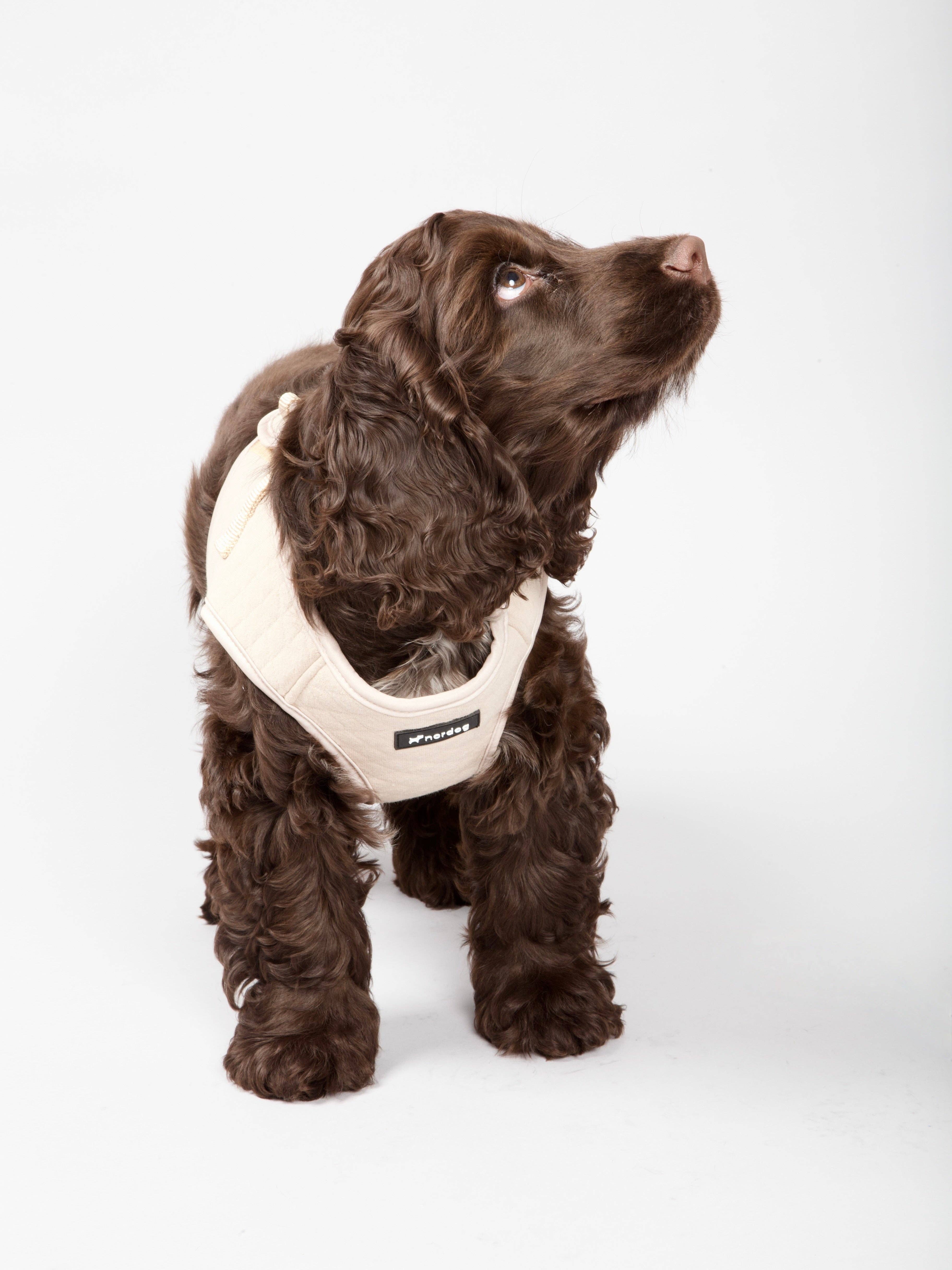 Nordog – wholesale Sele - Hund – Park hundsele beige5